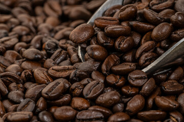 Close-up of roasted coffee beans with a metallic scoop, symbolizing coffee culture, freshness, and artisanal preparation.