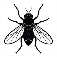 Housefly silhouette vector illustration on white background