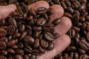 Close-up of a hand holding roasted coffee beans, symbolizing connection to coffee culture, freshness, and craftsmanship.