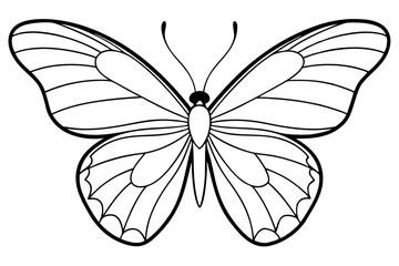butterfly silhouette line art vector illustration with a white background