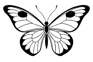 butterfly silhouette line art vector illustration with a white background