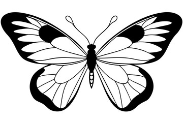 butterfly silhouette line art vector illustration with a white background