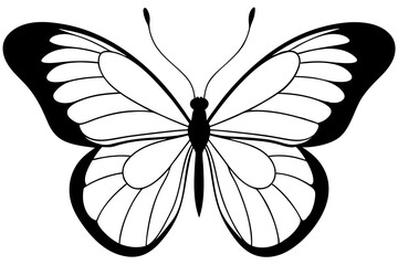 butterfly silhouette line art vector illustration with a white background