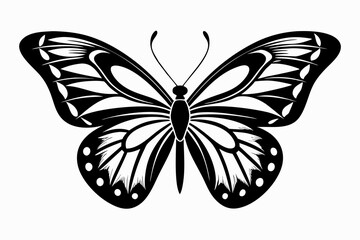 butterfly silhouette line art vector illustration with a white background