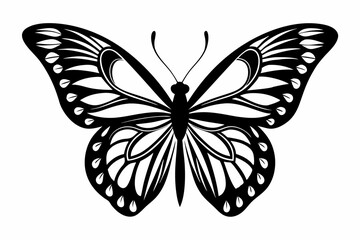 Fototapeta premium butterfly silhouette line art vector illustration with a white background
