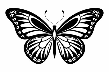 butterfly silhouette line art vector illustration with a white background