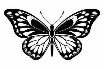 butterfly silhouette line art vector illustration with a white background