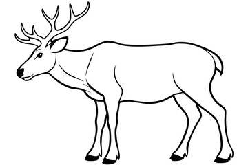 caribou silhouette line art vector illustration with a white background