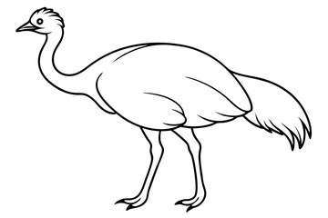 cassowary silhouette line art vector illustration with a white background