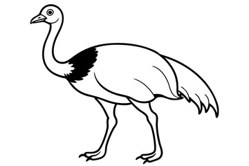 cassowary silhouette line art vector illustration with a white background