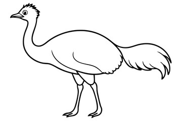 cassowary silhouette line art vector illustration with a white background