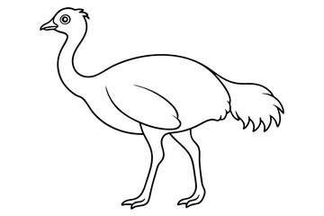 cassowary silhouette line art vector illustration with a white background