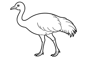 cassowary silhouette line art vector illustration with a white background