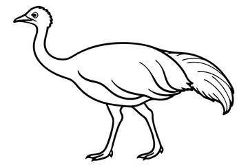 cassowary silhouette line art vector illustration with a white background