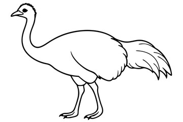 cassowary silhouette line art vector illustration with a white background