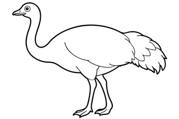 cassowary silhouette line art vector illustration with a white background