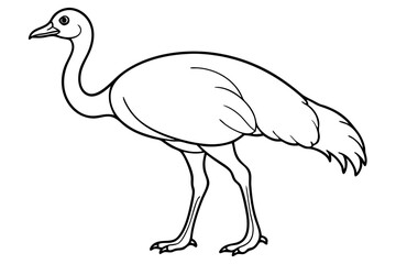 cassowary silhouette line art vector illustration with a white background