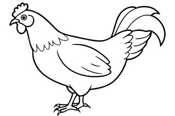 chicken silhouette line art vector illustration with a white background