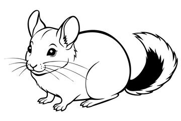 chinchilla silhouette line art vector illustration with a white background