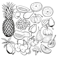 Obraz premium elegant illustration of fruits and vegetables line art black and white