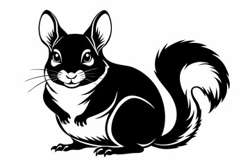 chinchilla silhouette line art vector illustration with a white background