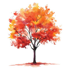 autumn tree isolated on white