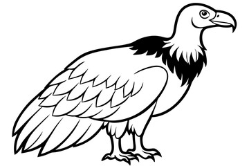 Fototapeta premium condor silhouette line art vector illustration with a white background