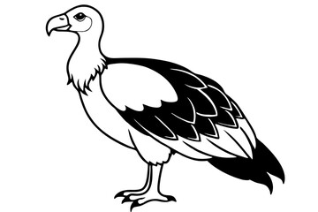Obraz premium condor silhouette line art vector illustration with a white background