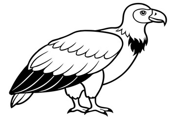 Obraz premium condor silhouette line art vector illustration with a white background