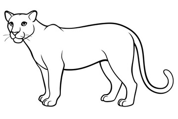 cougar silhouette line art vector illustration with a white background