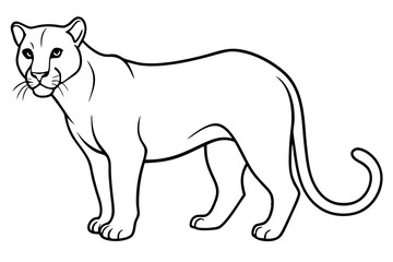 cougar silhouette line art vector illustration with a white background