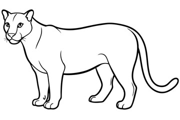 cougar silhouette line art vector illustration with a white background