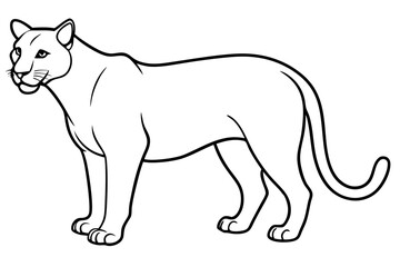 cougar silhouette line art vector illustration with a white background