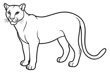 cougar silhouette line art vector illustration with a white background