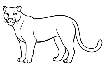 cougar silhouette line art vector illustration with a white background
