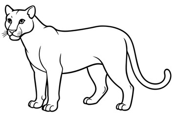 cougar silhouette line art vector illustration with a white background