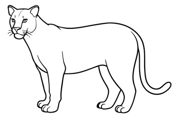 cougar silhouette line art vector illustration with a white background
