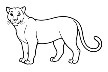 cougar silhouette line art vector illustration with a white background