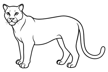cougar silhouette line art vector illustration with a white background