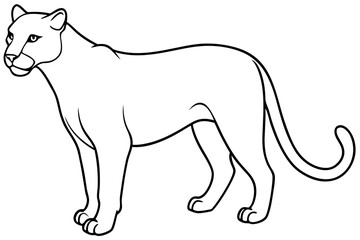 cougar silhouette line art vector illustration with a white background