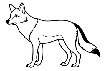 coyote silhouette line art vector illustration with a white background