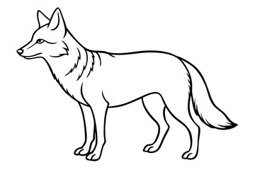 coyote silhouette line art vector illustration with a white background