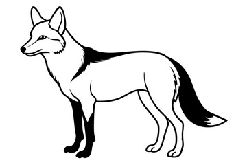 coyote silhouette line art vector illustration with a white background