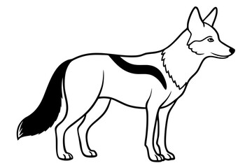 coyote silhouette line art vector illustration with a white background