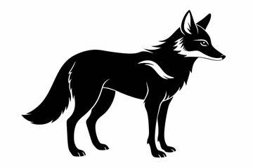 coyote silhouette line art vector illustration with a white background