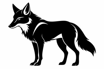 coyote silhouette line art vector illustration with a white background