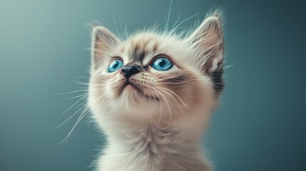 A serene close-up shot of a cute tabby cat napping comfortably on a pile of hardcover books