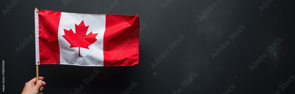 Poster A Person Is Holding A Canadian Flag Against A Black Textured Background With Plenty Of Space To Add Text Over Them. 00003