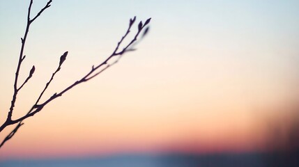 Obraz premium Minimalist Branch Silhouette Against a Serene Pastel Sunset Background : Generative AI