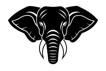 elephant isolated on white